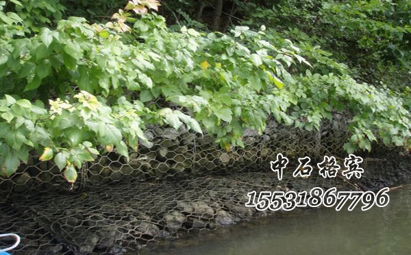 河道治理格賓網