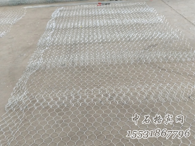 雙隔板雷諾護墊.jpg 雙隔板雷諾護墊.jpg